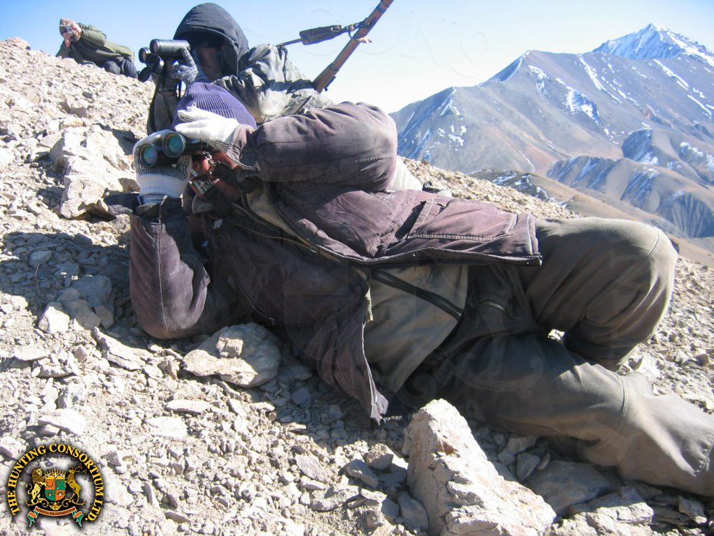 Working hard and glassing on mountain side while hunting in Asia on Asian hunts with Hunting Consortium