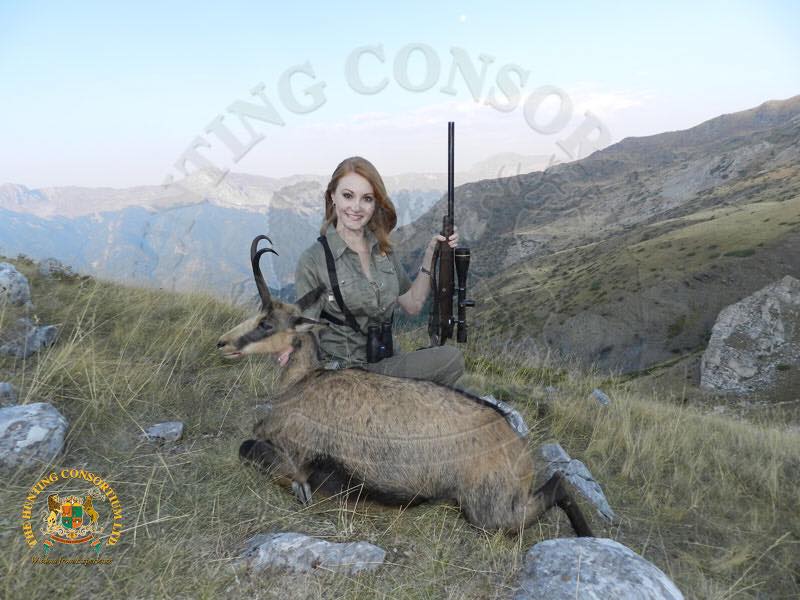 Hunting Balkan Chamois Hunting in Macedonia Boddington Hunting in Macedonia