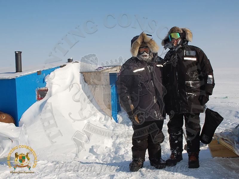 Hunting in Canada. Hunting in the Arctic