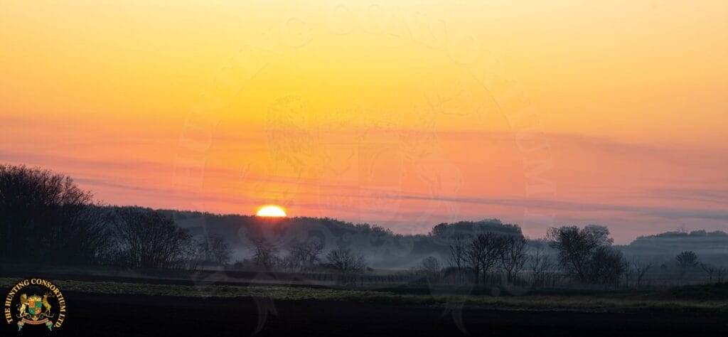 Photo of the sun rising during a roe deer hunting in Europe. Hunt Europe with the best.
