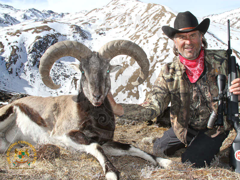 Jim Shockey Himalayan Blue Sheep Hunting in Nepal with Jim Shockey