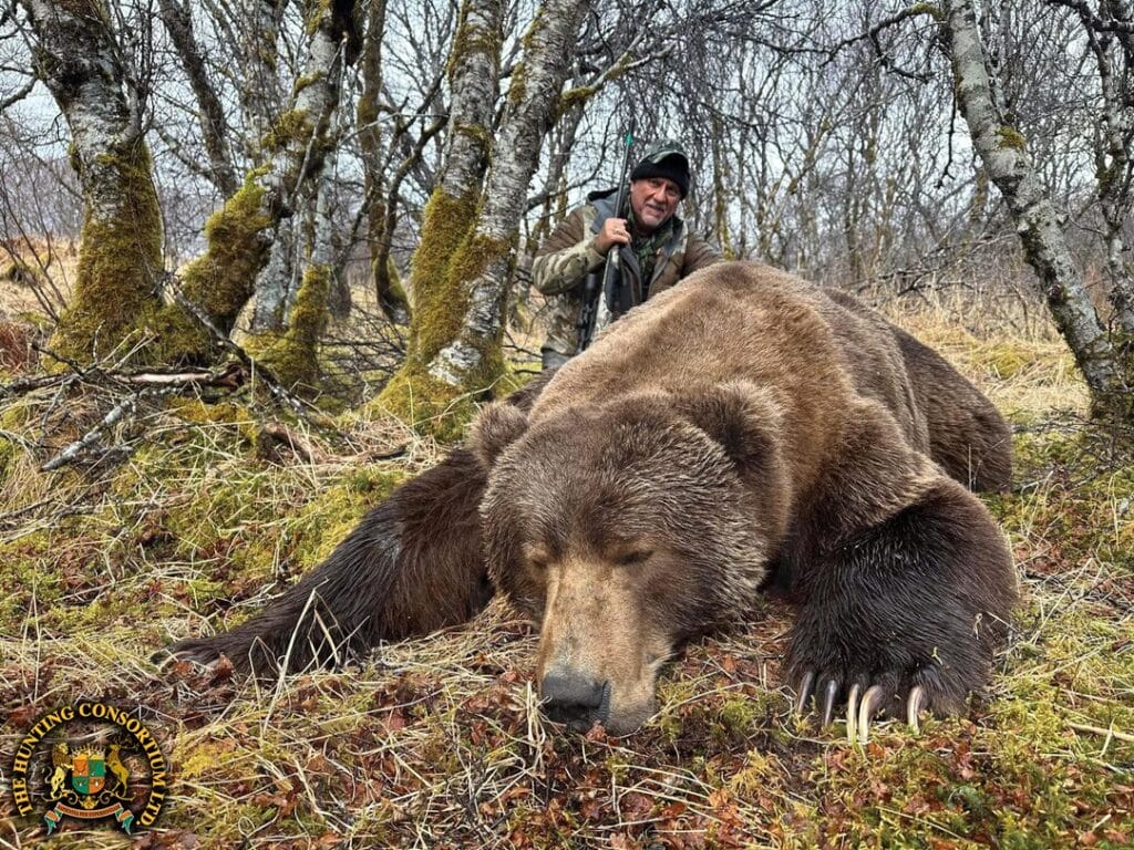 Kodiak Brown Bear hunting in Alaska Coastal Brown Bear Hunting