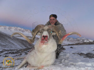 Marco Polo Argali Hunting