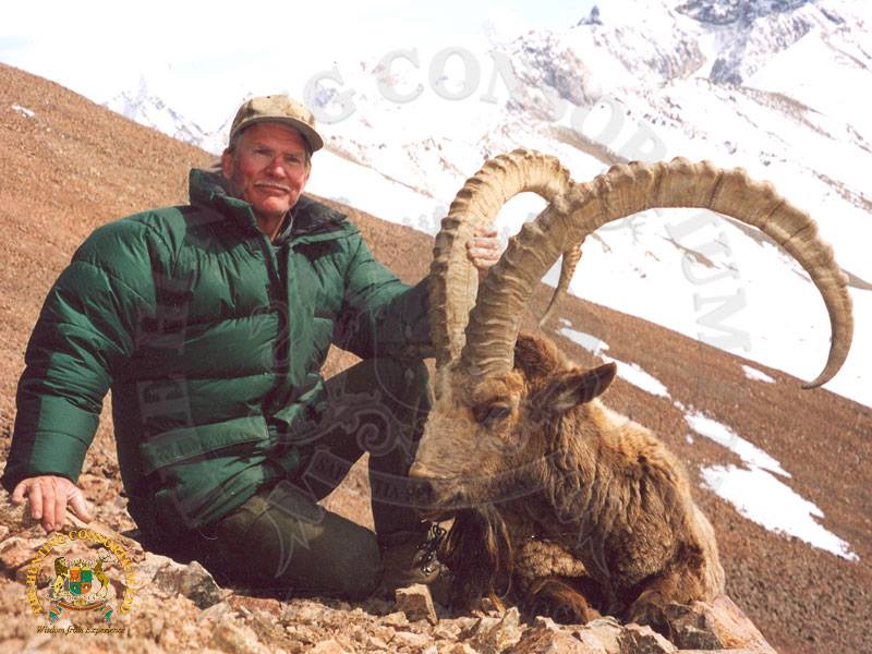 Mid-Asian ibex hunting in Kyrgyzstan ibex hunting Mid-Asian Ibex Hunts in Kyrgyzstan Hunts