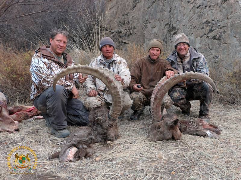 Mid-Asian ibex hunting in Kyrgyzstan ibex hunting Mid-Asian Ibex Hunts in Kyrgyzstan