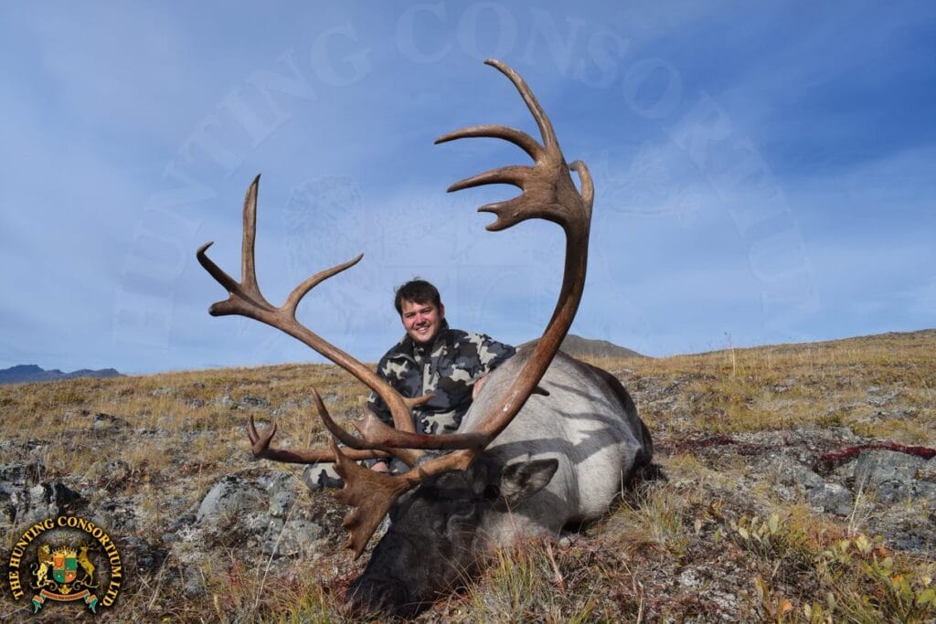 Mountain Caribou Hunting in British Columbia. Hunting in North America