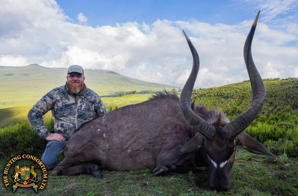 Mountain Nyala Hunting in Ethiopia