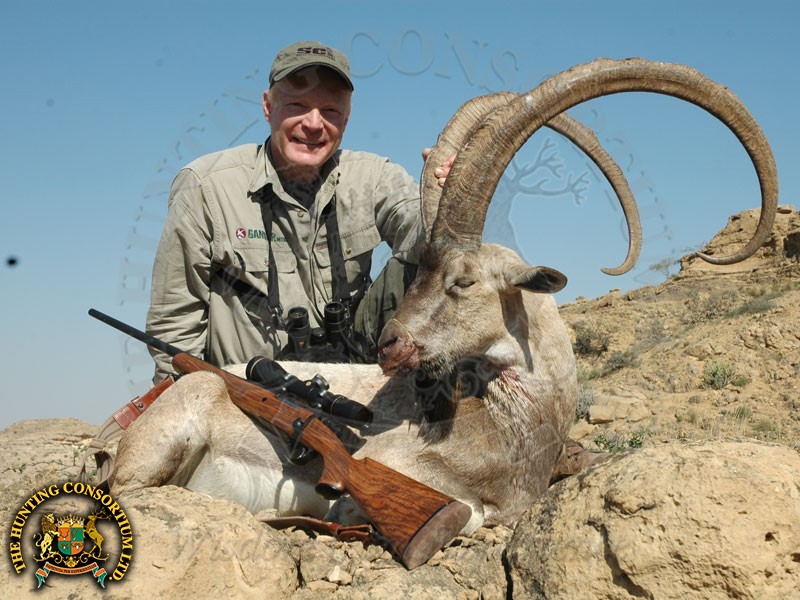 Craig Boddington Hunting Ibex in Pakistan Hunting Sindh Ibex in Pakistan Hunts in Pakistan Hunts