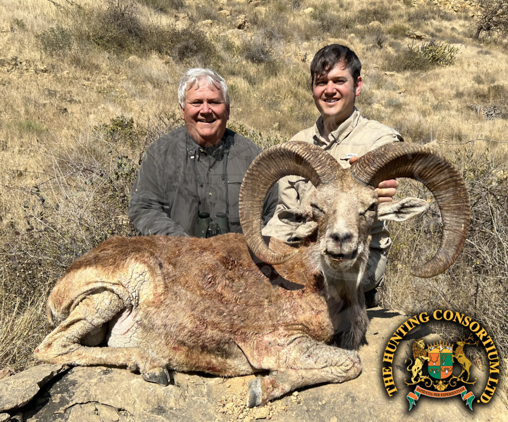 Blanford Urial Hunting in Pakistan Urial Hunts in Pakistan Hunts