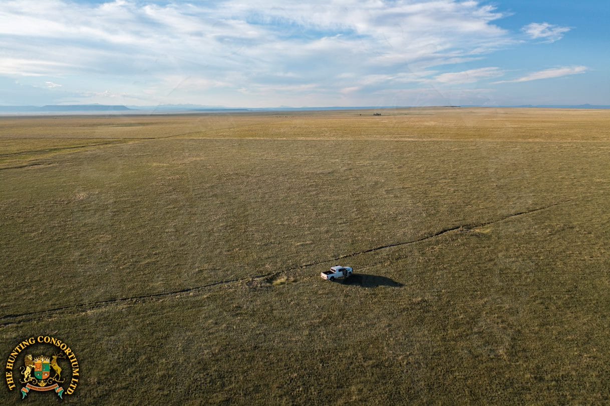 Pronghorn Hunting in New Mexico