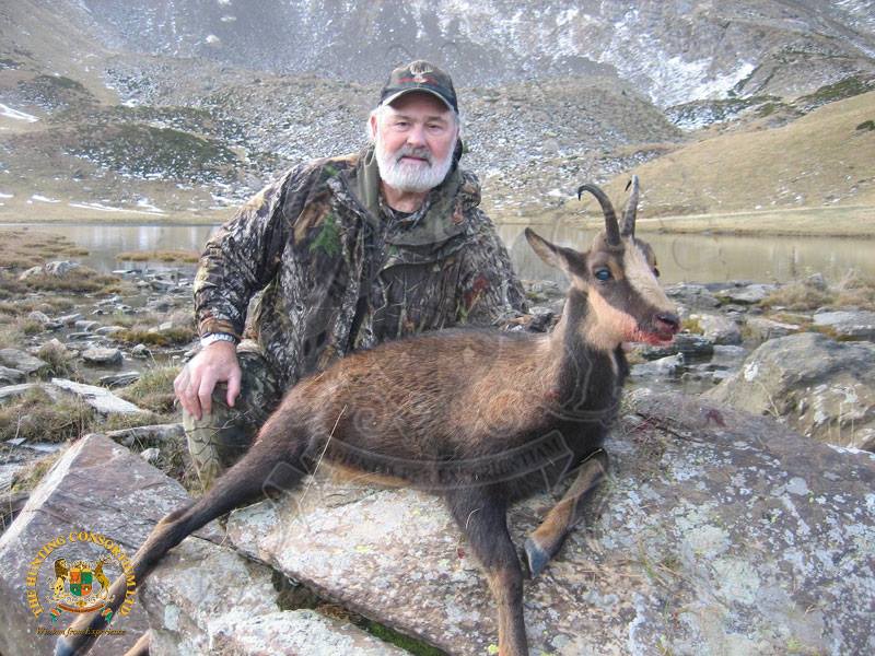 Pyrenean Chamois hunting in Spain