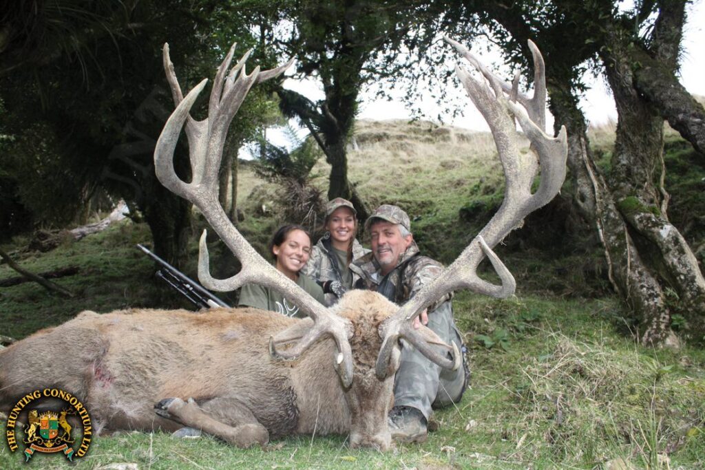 Red Stag Hunting New Zealand. Red Stag hunting in New Zealand. Red Stag hunts in New Zealand