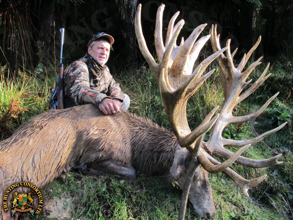 Photo of our client Red Stag Hunting New Zealand. Red Stag hunting in New Zealand. Red Stag hunts in New Zealand.