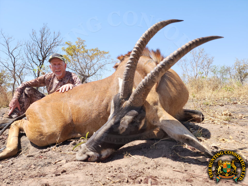 Western Roan Hunting in Cameroon. Roan Hunts in Cameroon.