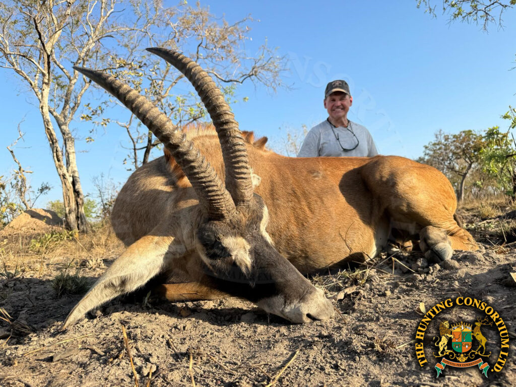 Photo of Roan Hunting in Cameroon.