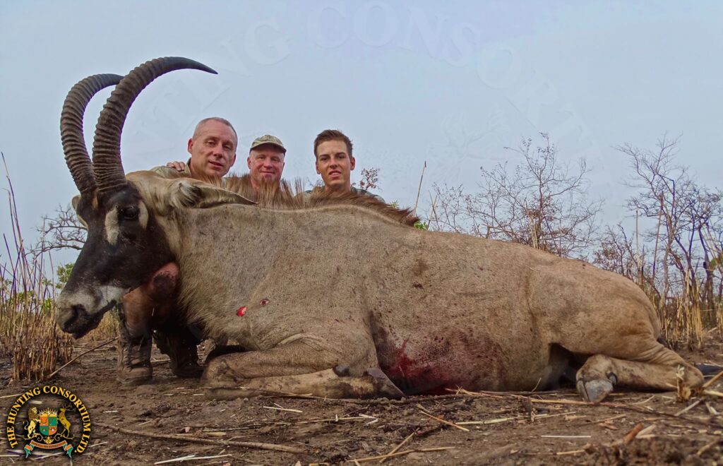 Roan Hunting in Benin. Benin Hunts in Africa.