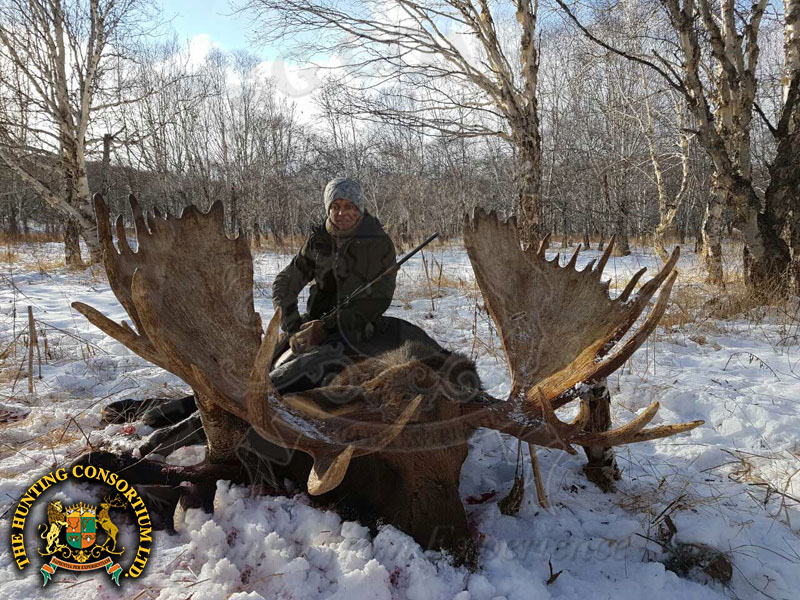 Moose Hunting in Russia the largest Moose hunts in Russia Best moose hunts in Russia