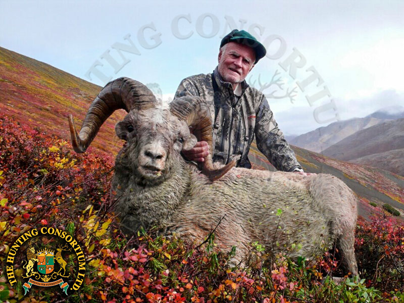Rex Baker Chukotka Snow Sheep Hunting in Russia