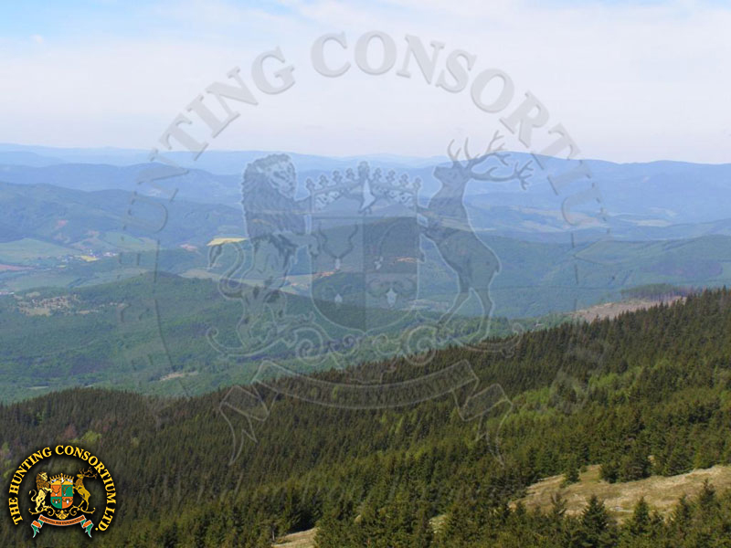 Tatra Chamois hunting in Slovakia hunts Tatra Chamois hunts in Slovakia