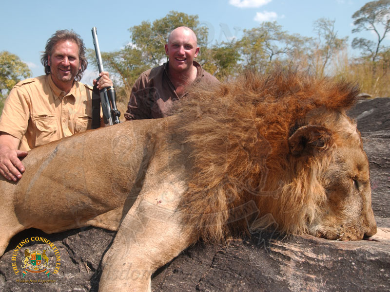 African Lion Hunting with Jim Shockey and Hunting Consortium. The Best African Lion Hunting.