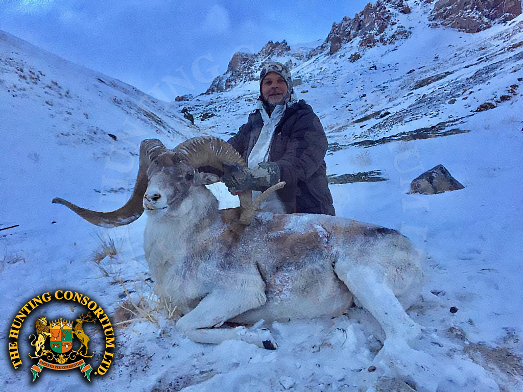 Tian Shan Argali Hunting in Kyrgyzstan Hunts for Tian Shan Argali Hunts in Kyrgyzstan
