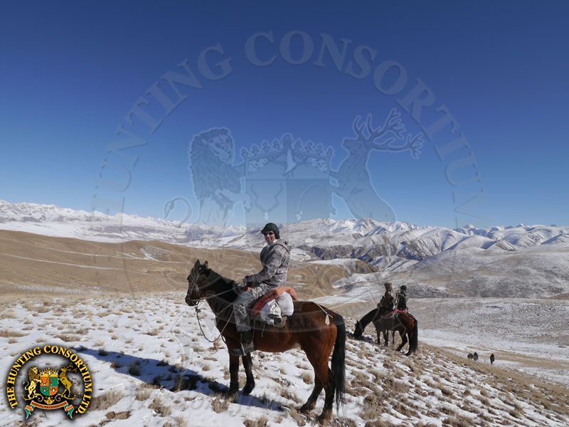Tian Shan Argali Hunting in Kyrgyzstan Hunts for Tian Shan Argali Hunts in Kyrgyzstan