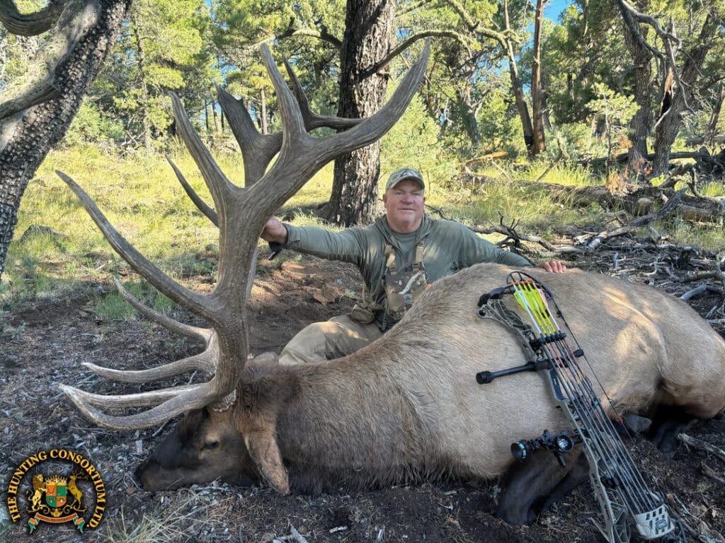 Archery Utah Elk Hunting in North America. Archery Hunts in USA.