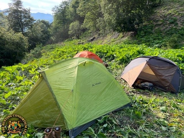 Hunting Tur in Azerbaijan Fly Camp