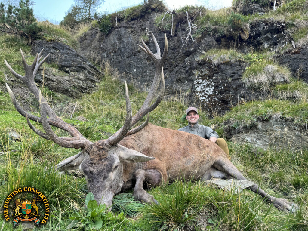 Free Range Red Stag Hunting in Austria. Hunting in Austria for Red Stag.
