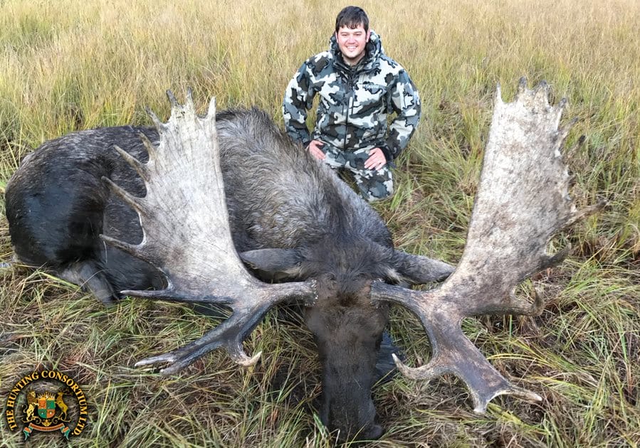 Western Canada Moose Hunting in Canada