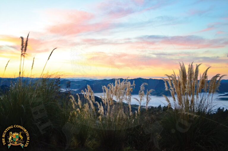 Photo What to Expect Red Stag Hunting New Zealand. Red Stag hunting in New Zealand. Red Stag hunts in New Zealand