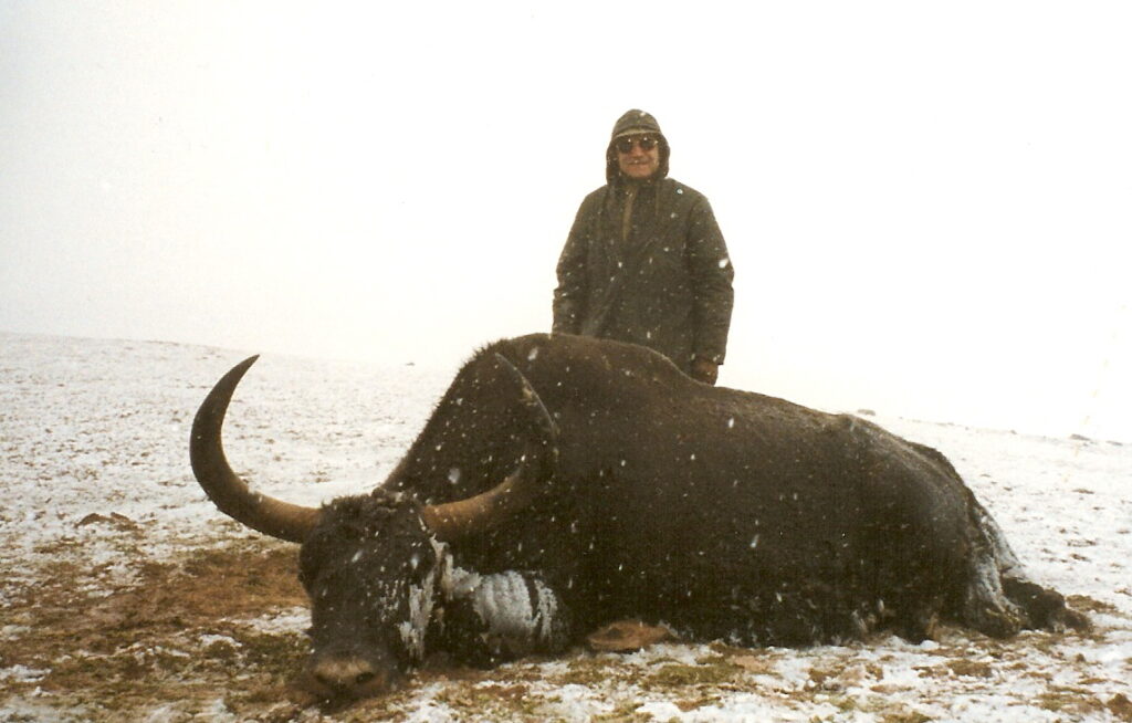 World Record Feral Yak hunted with Hunting Consortium Yak Hunting HIH Prince Abdorreza Pahlavi