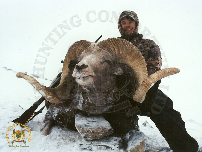 Altai Argali Hunting in Mongolia