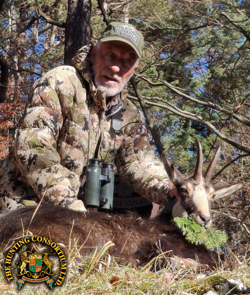 Tatra Chamois hunting in Slovakia hunts Tatra Chamois hunts in Slovakia