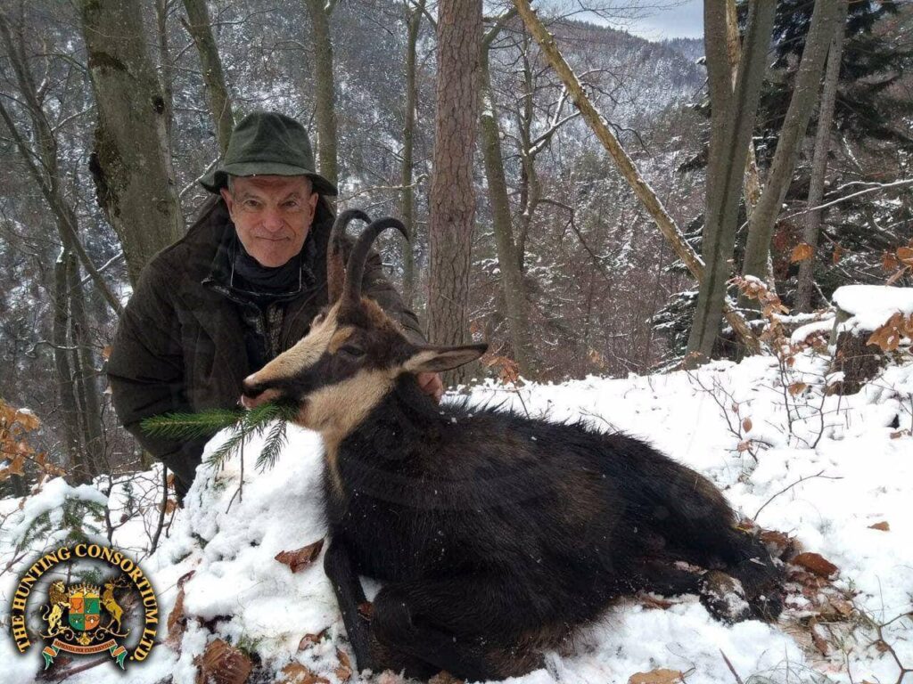 Tatra Chamois hunting in Slovakia hunts Tatra Chamois hunts in Slovakia