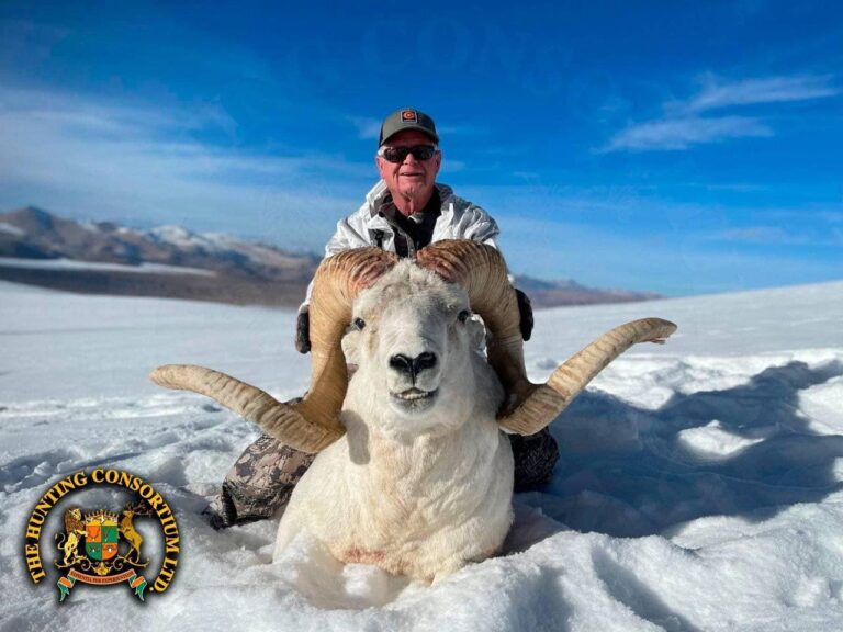 Marco Polo Sheep Hunting in Tajikistan. Hunting in Tajikistan for Marco Polo Argali Hunting