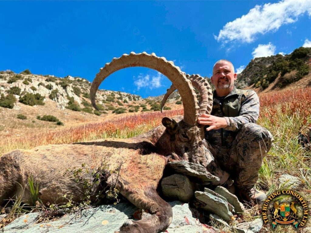 Mid-Asian Bukharan Ibex Hunting in Tajikistan. Hunting in Tajikistan for Mid Asian Bukharan Ibex Hunting