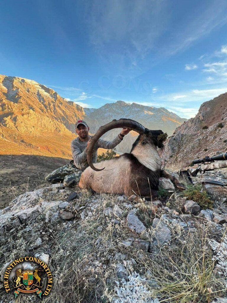 Bezoar Ibex Hunting in Turkey. The Best Bezoar Ibex Hunting in Turkey. Best outfitter for Bezoar Ibex Hunts in Turkey. Best Hunting Outfitter in Turkey.