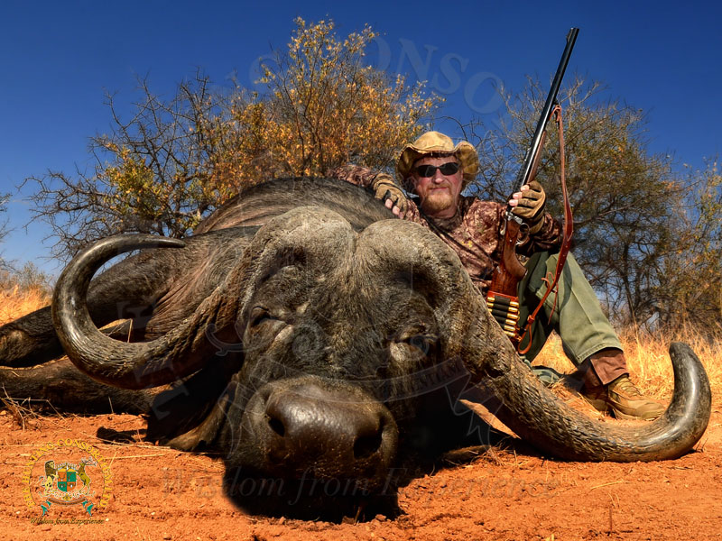 Hunter leaned up against his trophy on a cape buffalo safari during african hunting