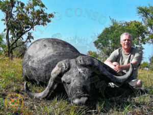 Cape Buffalo14