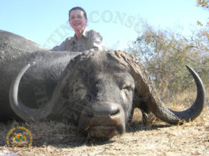 Cape Buffalo15