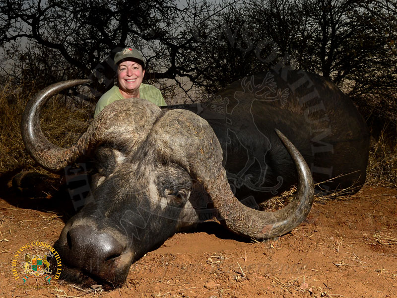 Hunter kneeling behind his trophy on a cape buffalo safari