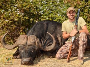 Cape Buffalo3