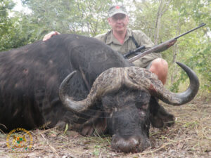 Cape Buffalo9