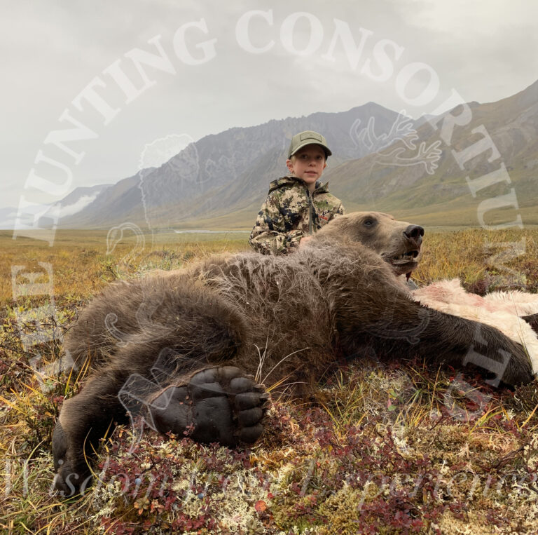 Image of Common Grizzly Bear Hunting Trophy with Youngest North American Grandslam Award winner.