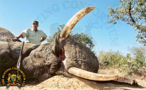 Elephant-hunting-Botswana-11
