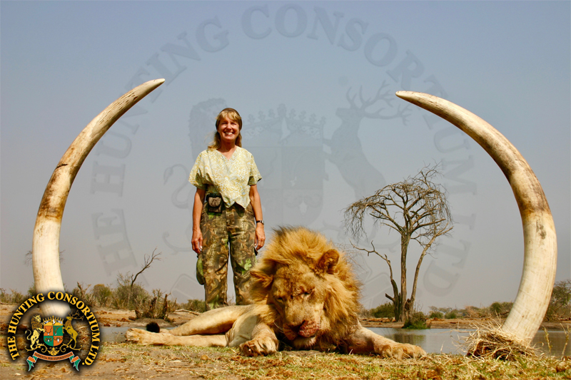 Elephant hunting Botswana 12