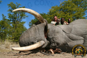 African Elephant Safari group standing next to a recently felled elephant.