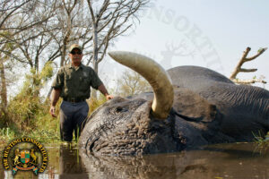 Elephant-hunting-Botswana-4