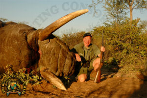 Elephant-hunting-Botswana-8